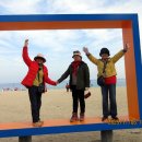 독감,코로나 예방주사 이미지