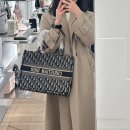 Dior/디올/북도트백/오블리크/후기💕