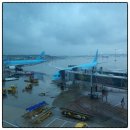 치앙마이 여행 준비물 (인천공항 주차대행 면세점 쇼핑 유심 보험 환전)