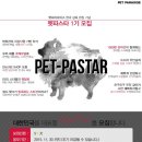펫 파라다이스 네이버블로그