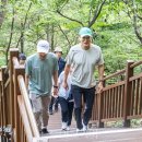 남산으로 이미지
