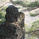 계곡사랑 이미지