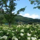 금강생태마당 이미지