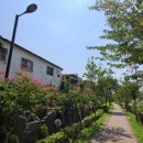 성호 정비센타 이미지