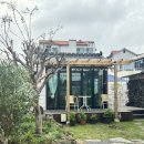 스테이모슬 이미지