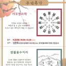 생활 명리학 이미지