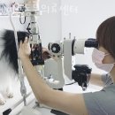 메이플동물병원 - 옥천군 삼양로 40 | 메이플동물병원