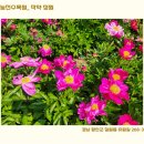작약정원