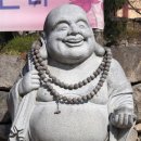 보문호반길 이미지