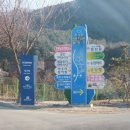송암손칼국수 네이버블로그
