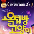 2017년 새해맞이 푸짐한 선물과 할인 이벤트! 연극&lt;옥탑방고양이&gt;