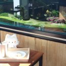 엔젤수족관 - 창원시 마산합포구 상남시장로 37 | 엔젤수족관