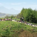 상기목장 이미지