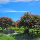 제주연세공인중개사사무소 이미지