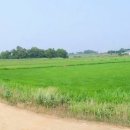 화옹지구공인중개사사무소 이미지