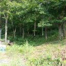 한계수농장 이미지