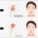 운정야당한의원 이미지