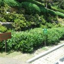 금당 최규용 다비 이미지