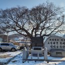 옥현1리 이미지