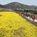 4월의 슬로우 라이프 축제 이미지