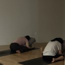 폴린 필라테스