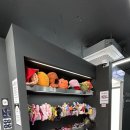 포토그레이신제주점