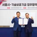 서울 서울 서울 이미지