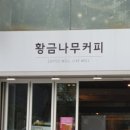 황금나무 이미지