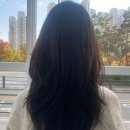 이에이헤어