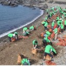 해군6전단(615비행대대) 이미지