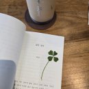 6주 완성 나만의 책쓰기, 구로여성인력개발센터 수강 후기