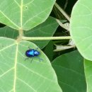 신미주어린이집 이미지