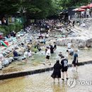 22~24일 전국에 많은 비…더위 계속되며 '처서의 마법' 없을 듯 이미지