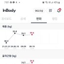 찐핏 이미지