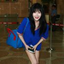 보람줄 이미지