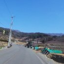 황토그린민박 이미지