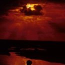 동덕여자대학교 비만미용향장대학원 이미지