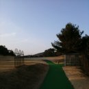 대덕연구단지체육공원 이미지