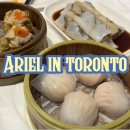 in(인)차이나 | [토론토맛집] Rol San 롤산 많이 가본 사람의 찐 메뉴 추천! 차이나타운 딤섬맛집 사용설명서