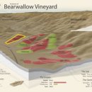 마운틴소프트웨어 | 리스 빈야즈, '포큐파인 힐' 앤더슨 밸리 피노누아(Rhys Vineyards, 'Porcupine Hill' Anderson Valley...