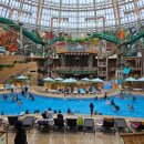 블루랜드 | 리조트 호텔 스플래시베이 워터파크 수영장 고래쇼 오로라쇼 후기(언더 더 블루랜드, 오로라 익스프레스)