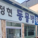 안정현동물병원 이미지