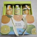 돌코롬푸드 | 부담없는 선물로 딱! 올가홀푸드 제주 돌코롬 과일청 3종 세트 후기 🍊(내돈내산)