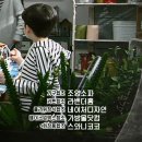 SBS 마녀의성 15.16회 캡쳐 이미지