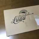 기타렐레(통기타) | 입문자용 우쿨렐레 추천 🎁 루아우 LU-10C 🎁 &#34;내돈내산&#34; 우쿨렐레 언박싱