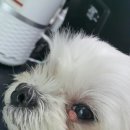 나눔 양한방동물병원 이미지