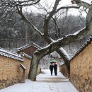 남사-3 이미지