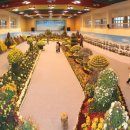 전남여행, 전라도축제 &#39;국화축제&#39;에서 도보를~ 이미지