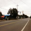 안덕면 서광초등학교 앞 이미지