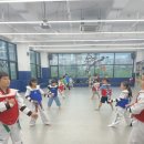 한국체대 천마태권도 네이버블로그